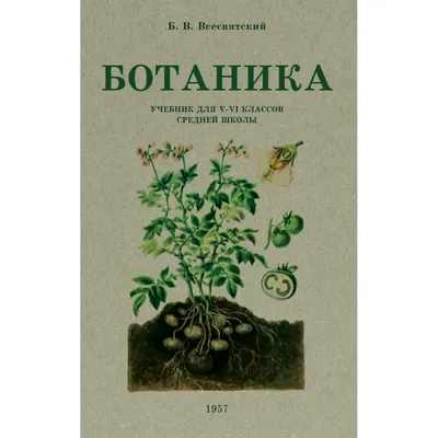 Книга Ботаника. Учебник для 5-6 классов средней школы. 1957 год.  Всесвятский Б.В. - купить учебника 5 класс в интернет-магазинах, цены на  Мегамаркет |