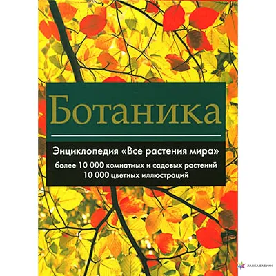 Набор Иллюстраций - открытки \"Ботаника №1\" - 10 шт в интернет-магазине  Ярмарка Мастеров по цене 200 ₽ – KQTZERU | Открытки и пригласительные,  Феодосия - доставка по России