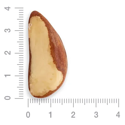 Купить Бразильский орех с доставкой на дом в Астане - Мир сухофруктов