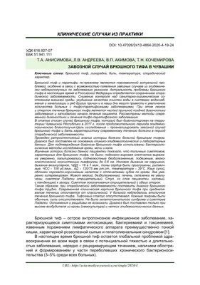 Брюшной тиф – симптомы, причины, диагностика и лечение болезни | «Будь  Здоров»