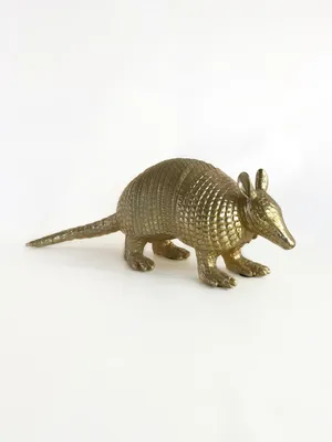 Карликовый броненосец (Zaedyus pichiy) Pichi, Dwarf armadillo, Pygmy  armadillo | LifeCatalog | Позвоночные, Млекопитающие, Патагония