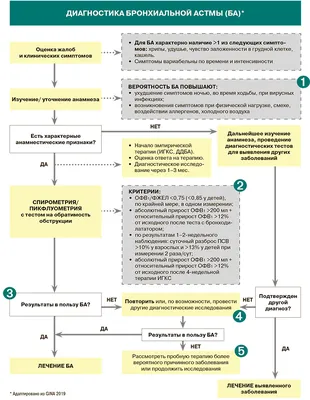 Бронхиальная астма как социально значимое заболевание