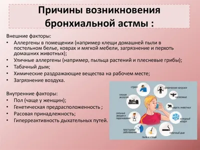 Бронхиальная астма: симптомы, причины, диагностика и лечение в лучших  клиниках - MedTour