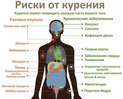 Влияние курения на мужские волосы и бороду | Советы барбера как  восстановить шевелюру после долгого курения