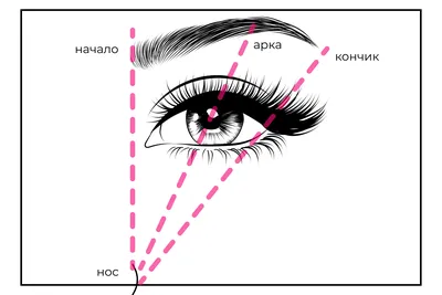 Красивые брови - как правильно красить брови краской, хной, карандашом,  тенями | Тренды 2021-2022 го