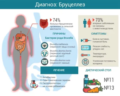 О профилактике инфекционных заболеваний общих для человека и животных - ГБУ  ЛО \"СББЖ Ломоносовского района\"