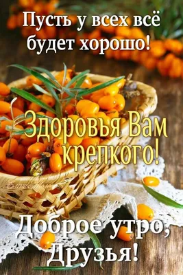 Картинки \"Будьте здоровы!\" (31 фото) 🔥 Прикольные картинки и юмор