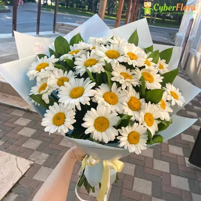 Купить букет ромашек с доставкой в Благовещенске ❤ Azeriflores.ru —  Благовещенск