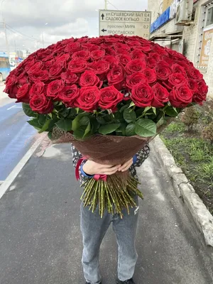 Букет из 11 розовых роз с эвкалиптом - купить в Москве по цене 1390 р -  Magic Flower