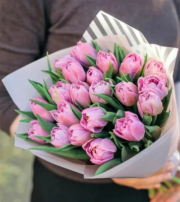 БУКЕТ \"31 тюльпан\" • MoreRoz.By Свежие цветы - низкие цены!