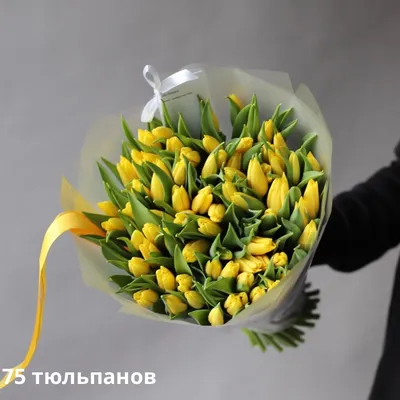 Букет тюльпанов \"Фуксия\" 25 B016 купить по цене 2550.00 руб. с доставкой по  Туле – интернет-магазин «Расцветочка»