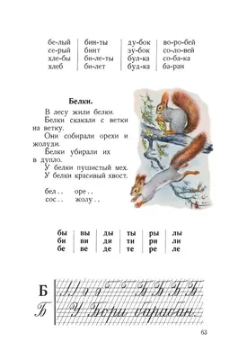 Букварь (стандарт) Жукова Н. С. купить по цене 432 р.