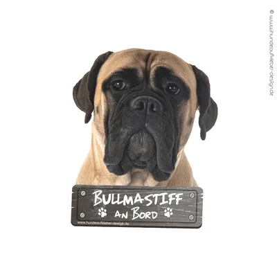 Neapolitan Bullmastiff Dog - Original Prints