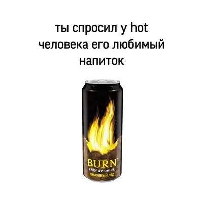 BURN BURN BURN / худи – купить в Barking Store, актуальный мерч с животными