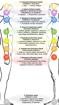 Комплект минералов \"Чакры. Чакровая система\". - купить с доставкой по  выгодным ценам в интернет-магазине OZON (1314986481)