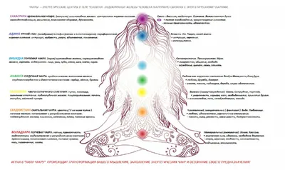 Знакомство с чакрами - Dryade - тонкая анатомия человека