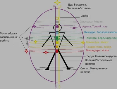 О первой чакре