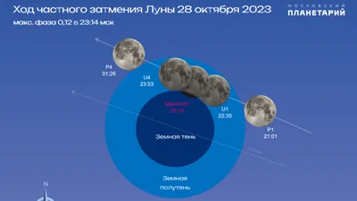 Фотосессия По Материнству Боди Беременности Фотография Реквизита Для Платья  Сексуальное Блестящее Тело Частное Комбинезон Беременная Женщина Приходит  Фото L230712 От 5 537 руб. | DHgate