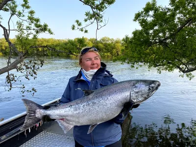 Купить чавычу штучной заморозки потрошеную без головы: 2 180 руб за кг в  Москве - интернет-магазин Дикоед