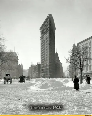 Фотография чб или цв, автор Марина Долбинская