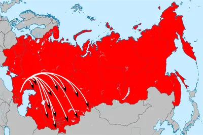 Чеченцы, воюющие за Украину, намерены добиваться восстановления Ичкерии