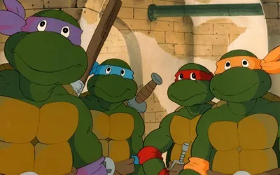 Фигурка Черепашки ниндзя Донателло TMNT подвижная с оружием 13 см - купить  в Москве, цены на Мегамаркет