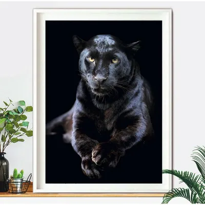 Черная пантера 70х60 мм. Клеевая нашивка ⋆ Магазин нашивок