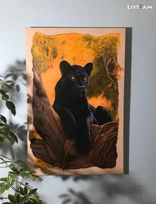 красивая черная пантера стоковое изображение. изображение насчитывающей  развилки - 147020805
