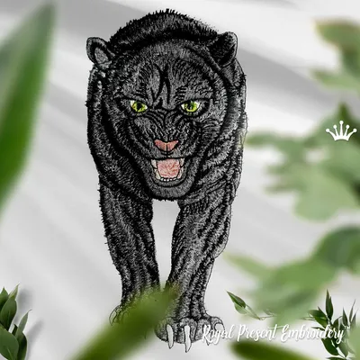 Черная пантера поселилась в Иркутской зоогалерее; в Иркутской зоогалерее  поселилась черная пантера; черная пантера Шанель Иркутская зоогалерея - 17  июня 2022 - ircity.ru