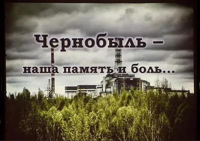 В ликвидации чернобыльской аварии участвовали 3200 киргизстанцев -  Российская газета