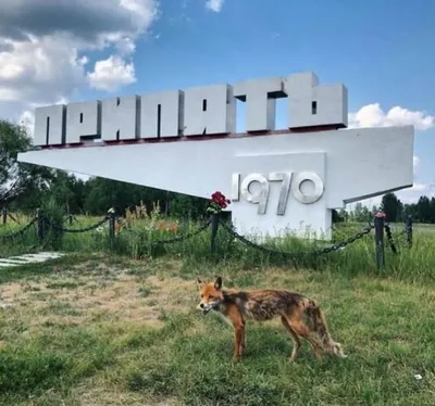 Припять сейчас: фото города до и после аварии, как бы он выглядел, если бы  не было аварии на ЧАЭС