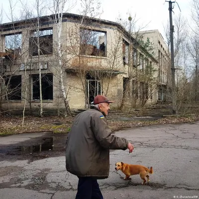 Чернобыль сейчас - фото из Чернобыля в наши дни, последствия катастрофы,  аварии на ЧАЭС