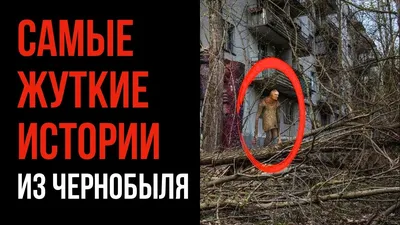 В живых остался только я один» | Такие Дела