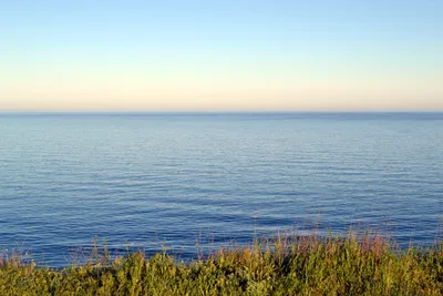 Черное море почернело от опасности