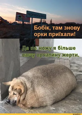 Черный Юмор - Черный Юмор agregó una foto nueva.