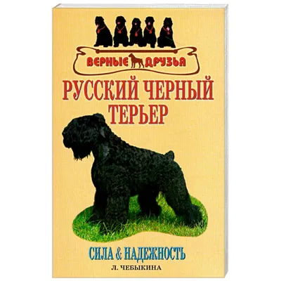 Русский черный терьер - описание породы собак: характер, особенности  поведения, размер, отзывы и фото - Питомцы Mail.ru