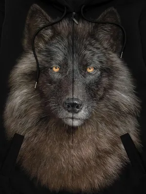 Черный волк black wolf,night,…» — создано в Шедевруме