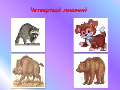 Четвёртый лишний interactive worksheet | Live Worksheets