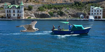 Черное море окрасилось в красный цвет (ФОТО+ВИДЕО) - sochi-express.ru