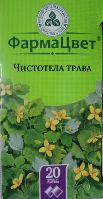 Чистотел: инструкция по применению, целебная настойка, можно ли  использовать от бородавок,