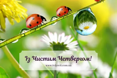 Открытки - Чистый четверг Поздравляю с четвергом, С чистым, ясным, светлым  днём! Вам желаю просветления, Чистоты души, везения. Пусть уйдут печали  все, Быть лишь белой полосе. Чтобы в доме жили дружно И