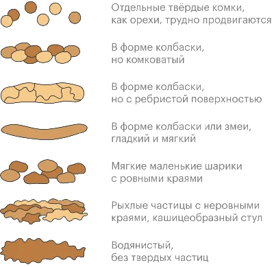 Вредно ли долго сидеть на унитазе? - KP.RU