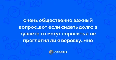 Почему нельзя долго сидеть в туалете — блог медицинского центра ОН Клиник