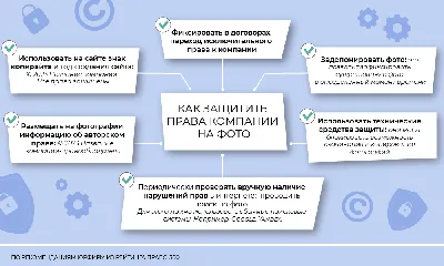 Что вы видите на фотографии первым – собаку или лицо? Тест расскажет многое  о вашем характере и будущем | Mixnews