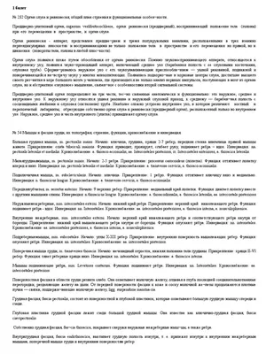 Сердце человека: где находится, как выглядит и работает, почему может болеть