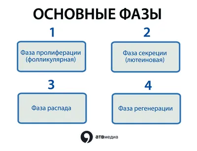 Аменорея или отсутствие месячных | Женское здоровье | medik.kg