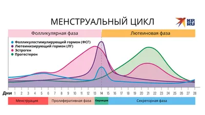 мужик объяснил, что такое месячные \"своим языком\" | Пикабу