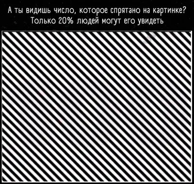 взгляни на картинки и скажи, что ты видишь — Трикки — тесты для девочек