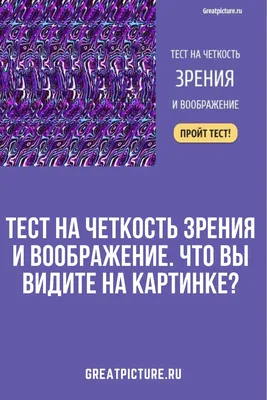 BB.lv: Сколько собак вы видите на картинке? (Выясняем ваш психологический  возраст)