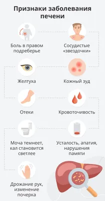 Травы для очищения организма – сборы для чистки от токсинов